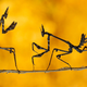 Image for article titled The most inspiring nature photography of the year